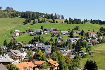 Ferienwohnung in Todtnauberg - Blick vom Balkon