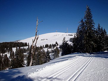 Ferienwohnung in Todtnauberg - Wanderweg und Loipe mit Blick zum Feldberg