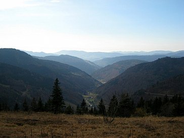 Ferienwohnung in Todtnauberg - Schwarzwald Idyll