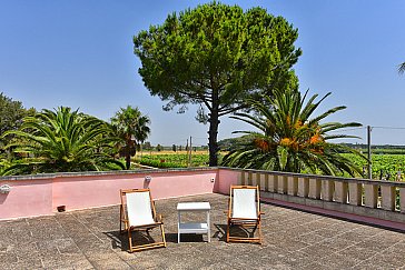 Ferienhaus in Galatina - Grosse Terrasse, Weinanbau