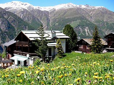 Ferienwohnung in Grächen - Chalet Goldblick in Grächen