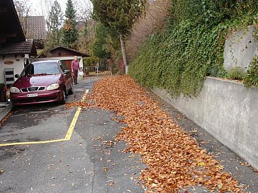 Ferienwohnung in Sigriswil - Parkplatz