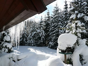 Ferienwohnung in Hinterzarten - Bild16