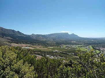 Ferienwohnung in Kapstadt-Constantia - Constantia Cottages - Area: Constantia Valley