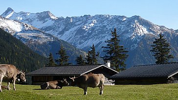 Ferienhaus in Bergün - Bild14