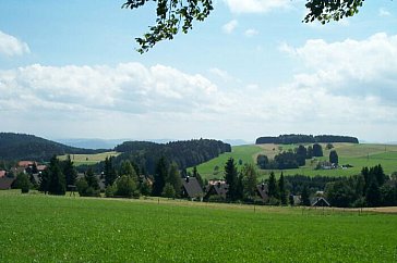 Ferienwohnung in Herrischried-Niedergebisbach - Bild13