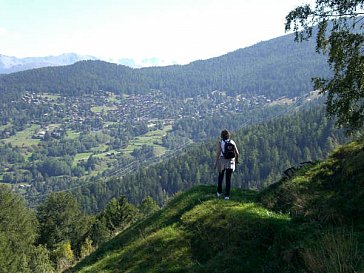 Ferienwohnung in Eischoll - Wandern