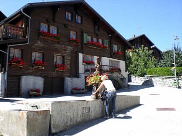 Ferienwohnung in Eischoll - Eischoll im Sommer