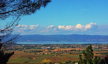 Ferienhaus in Paciano - Bild13