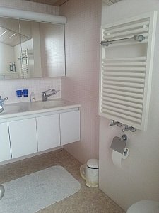 Ferienwohnung in Grindelwald - Dusche / WC / Doppellavabo