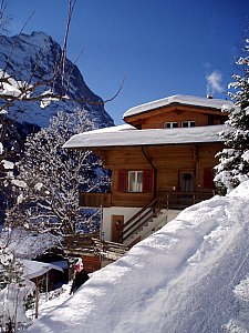 Ferienwohnung in Grindelwald - Chalet Bossrain Sicht Eiger