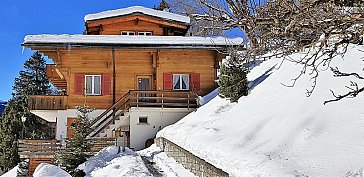 Ferienwohnung in Grindelwald - Bossrain Winter