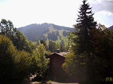 Ferienwohnung in Saanen - Aussicht Eggli