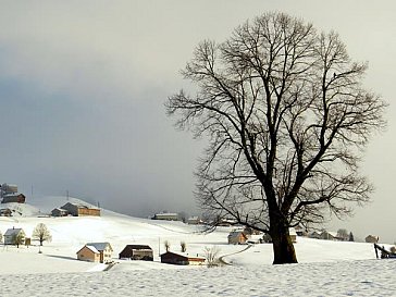 Ferienhaus in Appenzell - Winterlandschaft