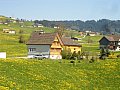 Ferienhaus in Appenzell - Appenzell