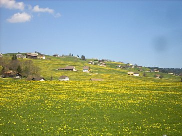 Ferienhaus in Appenzell - Aussicht