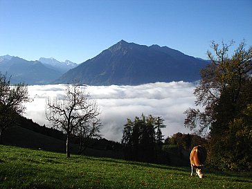 Ferienwohnung in Ringoldswil - Über dem Nebel