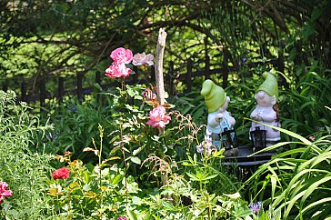 Ferienwohnung in Rüti - Blick in garten