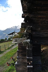 Ferienwohnung in Bürchen - Fortuna in Sicht