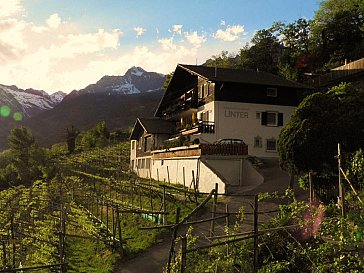 Ferienwohnung in Meran-Tirol - Appartements & Weingut Linter