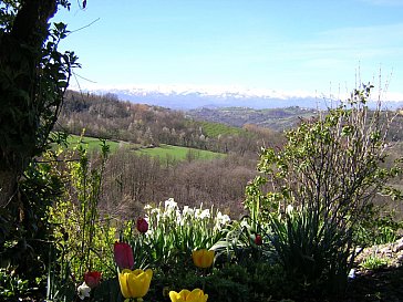 Ferienwohnung in Murazzano - Ausblick vom Hof