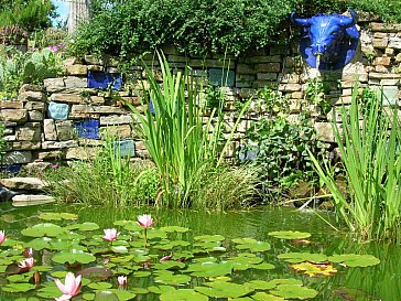 Ferienwohnung in Murazzano - Goldfischteich