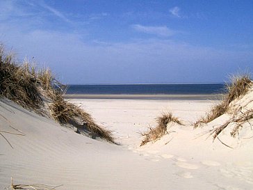 Ferienwohnung in Borkum - Impressionen