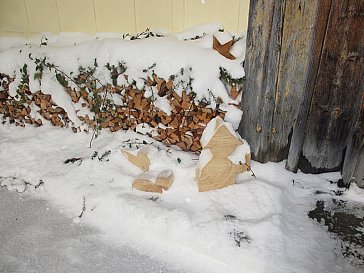 Ferienhaus in Appenzell - Im Winter