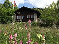 Ferienhaus in Wallis Leuk Bild 1