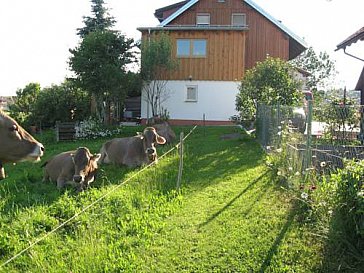 Ferienwohnung in Maierhöfen - Bild10