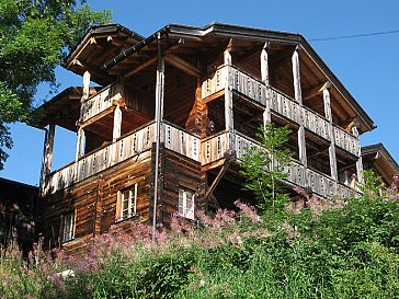 Ferienhaus in Münster - Das Chalet ist sehr ruhig gelegen