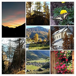 Ferienhaus in Münster - Collage