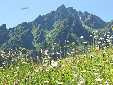 Ferienwohnung in Gargellen - Ausblick