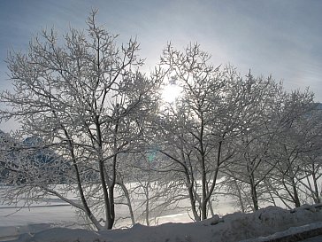 Ferienwohnung in Celerina - Winterlandschaft