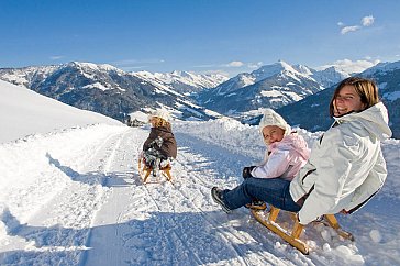 Ferienwohnung in Alpbach - Familienrodeln von der Bischoferalm Alpbach