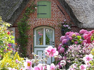 Ferienwohnung in St. Peter-Ording - Bild11