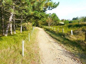 Ferienwohnung in St. Peter-Ording - Bild13