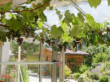 Ferienwohnung in Valchava - Garten