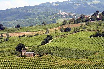 Ferienwohnung in Montecalvo Versiggia - Hügellandschaft