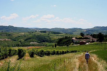 Ferienwohnung in Montecalvo Versiggia - Wandern