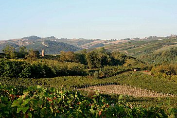 Ferienwohnung in Montecalvo Versiggia - Aussicht