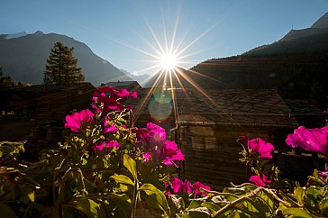 Ferienwohnung in Saas-Fee - Aussicht von der Terrasse Haus Am Biel