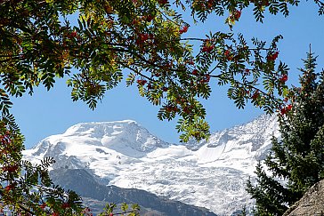 Ferienwohnung in Saas-Fee - Bergwelt Saas-Fee