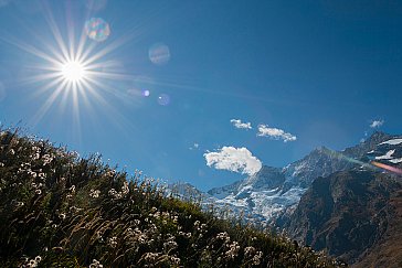 Ferienwohnung in Saas-Fee - Haus Am Biel im Dorf Saas-Fee