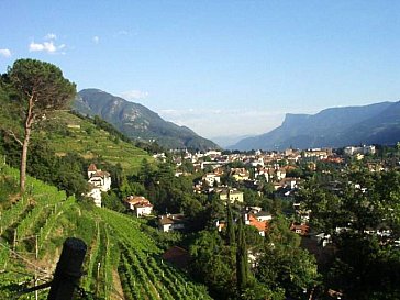 Ferienwohnung in Meran - Blick vom Weinberg hinterm Haus über Meran