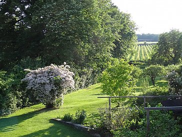 Ferienwohnung in Klosterneuburg-Kritzendorf - Garten