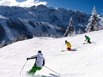 Ferienwohnung in Mayrhofen-Ramsau - Skivergnügen