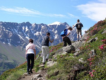 Ferienwohnung in Mayrhofen-Ramsau - Inmitten der Zillertaler Alpen