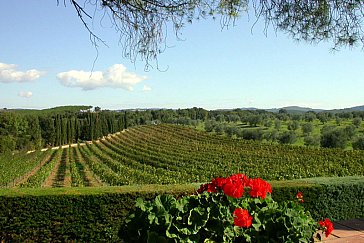 Ferienwohnung in Massa Marittima - Wein