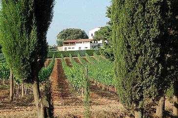 Ferienwohnung in Massa Marittima - Agriturismo Tesorino